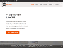 Tablet Screenshot of digiwidgets.com